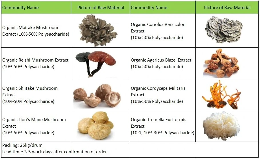 mushroom mushroom