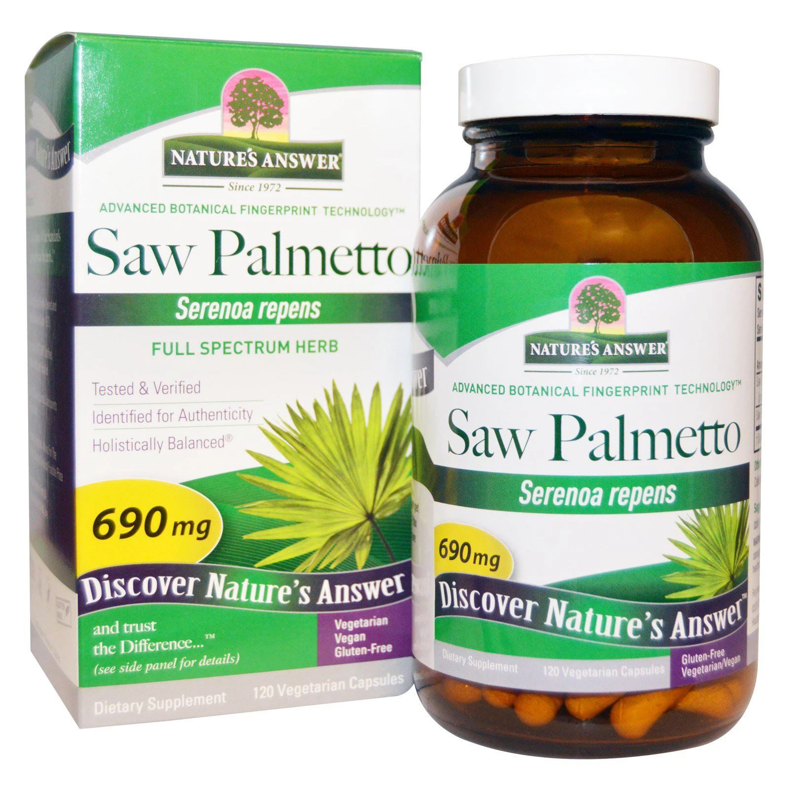 Saw Palmetto Extract1