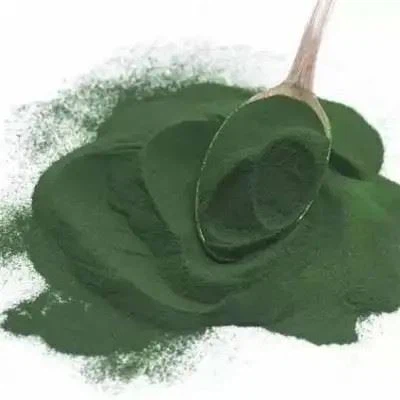 chlorophyll water