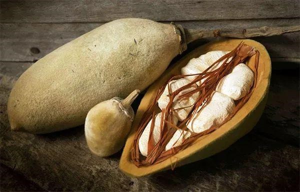 baobab fruit 