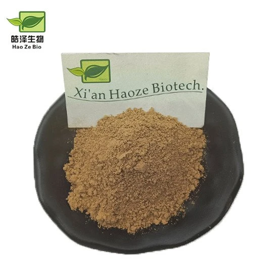 cordyceps extract 