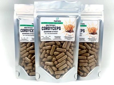 cordyceps sinensis capsule
