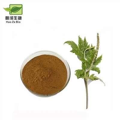 블랙 코호시 추출물
