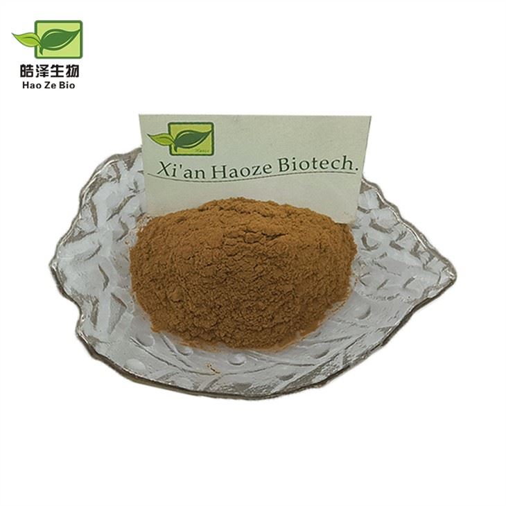 Spicate Clerodendranthus 추출물