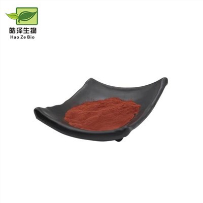 소나무 껍질 추출물 분말