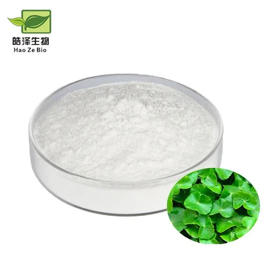 Gotu Kola 추출물 가루