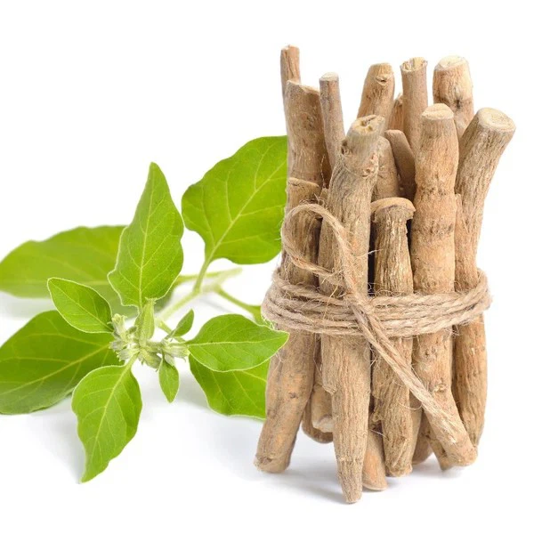 ashwagandha root ashwagandha root