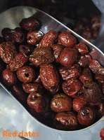 product-445-600 product-445-600