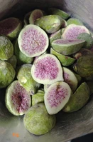 product-394-600 product-394-600