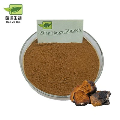 차가 버섯 추출물