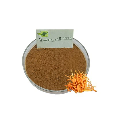 Cordyceps 추출물 분말