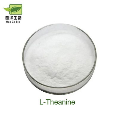도매 L- 테아닌 분말